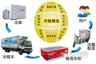 國內外聯(lián)動打造北方食品冷鏈物流集散中心，優(yōu)化供應鏈管理服務